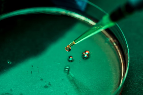 A pipette dispensing a drop of liquid into a petri dish, a common step in biological experiments
