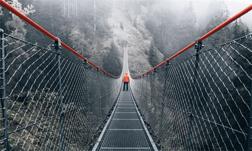 A person in an orange jacket standing on a suspension bridge in a misty forest